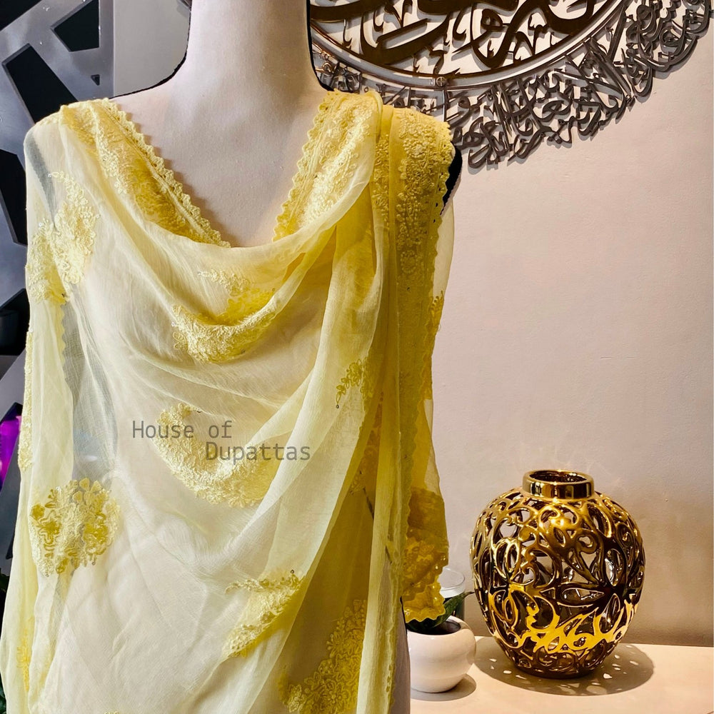 Chikankari Dupattas - The Story Kameez