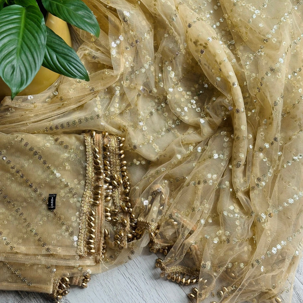 
                      
                        Golden Net Embellished Dupattas - The Story Kameez
                      
                    