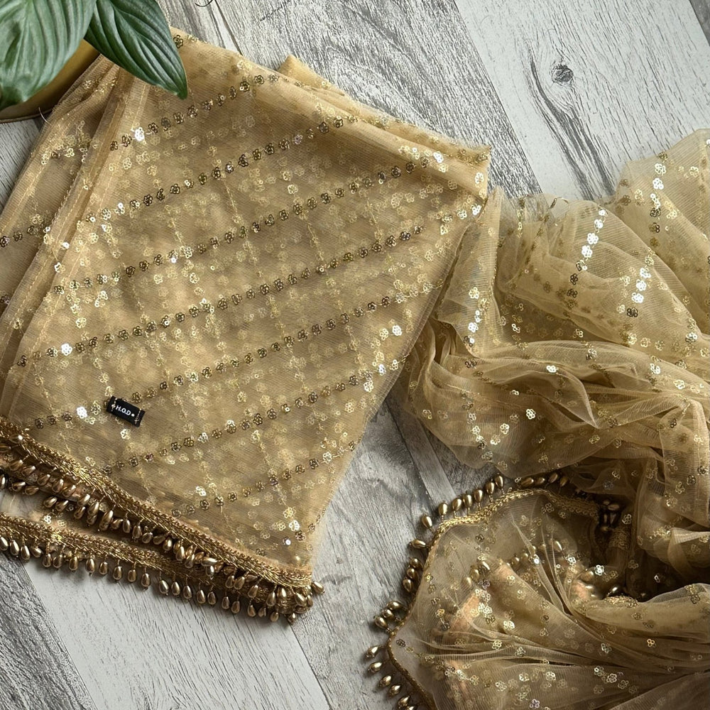 
                      
                        Golden Net Embellished Dupattas - The Story Kameez
                      
                    