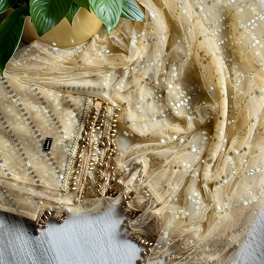 Golden Net Embellished Dupattas - The Story Kameez