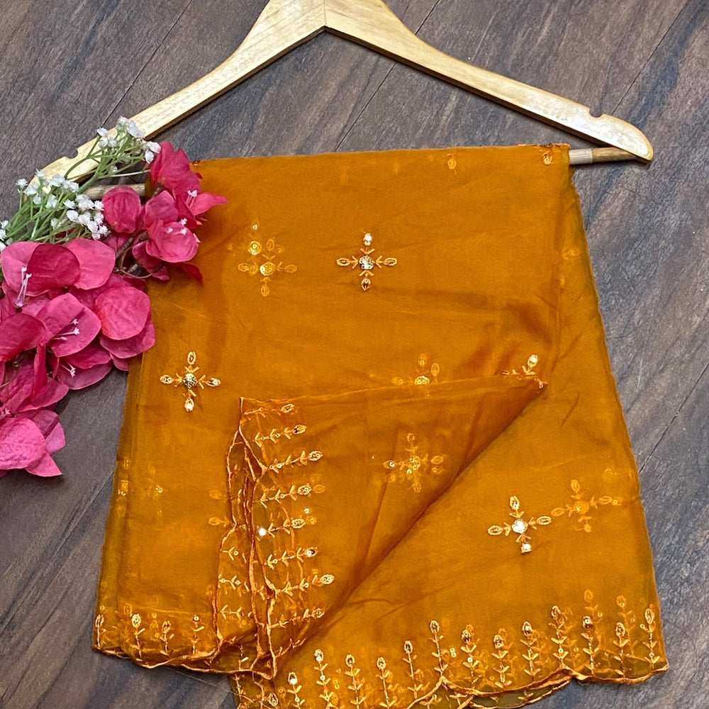 
                      
                        Organza Dupattas - The Story Kameez
                      
                    